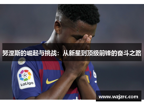 努涅斯的崛起与挑战：从新星到顶级前锋的奋斗之路