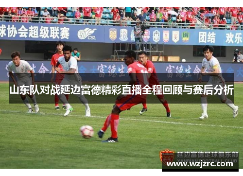 山东队对战延边富德精彩直播全程回顾与赛后分析