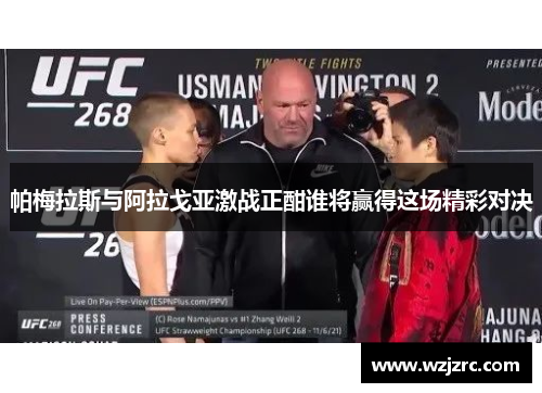 帕梅拉斯与阿拉戈亚激战正酣谁将赢得这场精彩对决